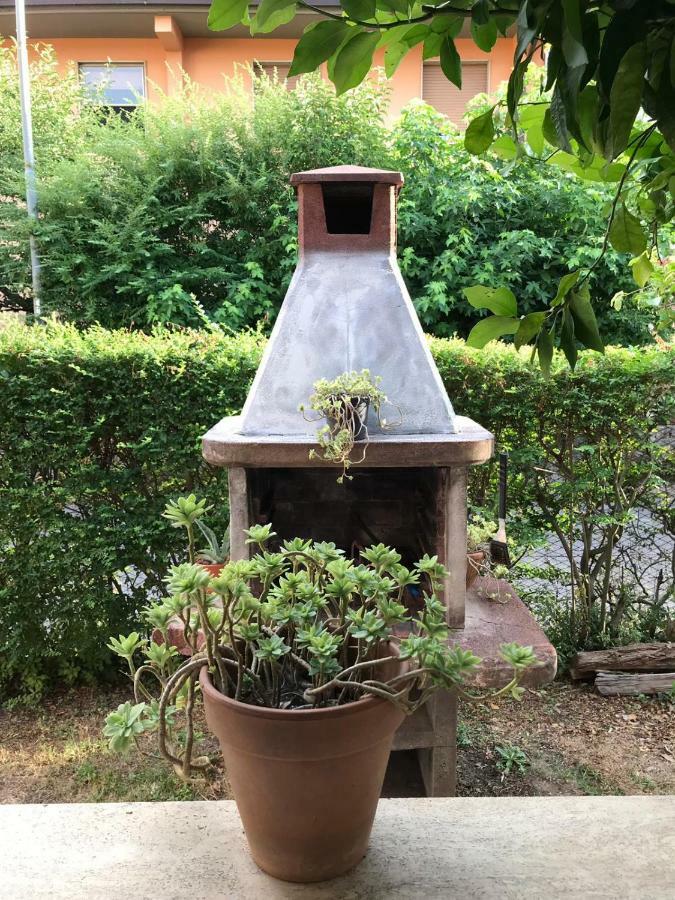 尼阿博勒皮耶韦La Casina Di Zia Zita别墅 外观 照片